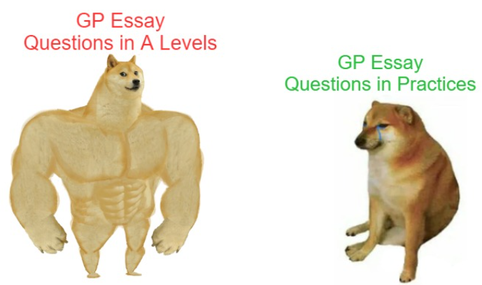 2021 gp essay questions